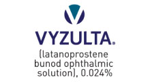 Vyzulta logo